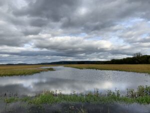 Molly Jahn, Flooded soybean fields